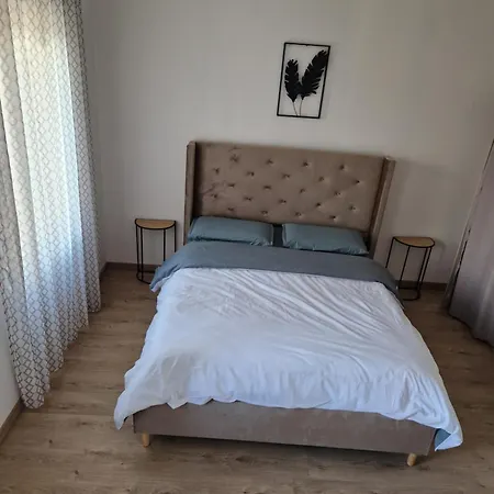 Ileana Apartamento *